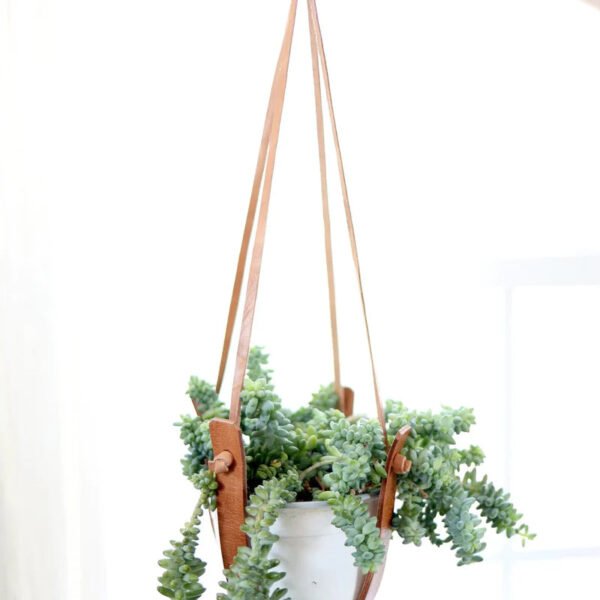 Leather Plant Hanger
