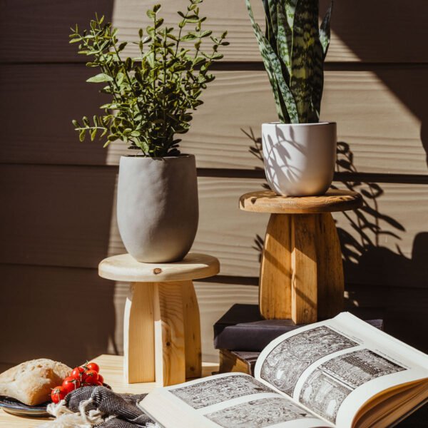 Deep Roots Small Wood Pedestal Stand